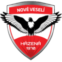 TJ Sokol Nové Veselí logo